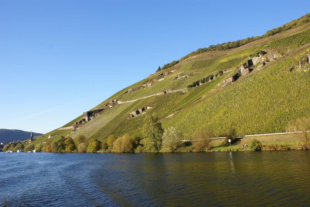 Weinvilla Heinrichshof Zeltingen-Rachtig Exteriér fotografie